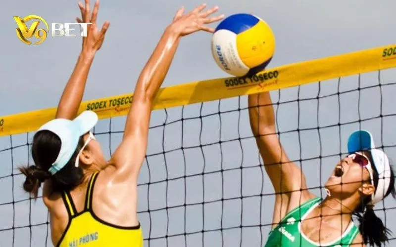 Bóng Chuyền Ảo V9BET | Cách Đọc Kèo, Tài Xỉu & Odds 3 Ảnh minh họa lỗi thường gặp khi chơi Bóng Chuyền Ảo V9BET