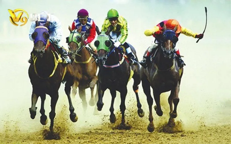 Đua Ngựa Ảo V9BET | Cách Đọc Kèo Win, Place & Exacta 1 Ảnh minh họa Đua Ngựa Ảo V9BET